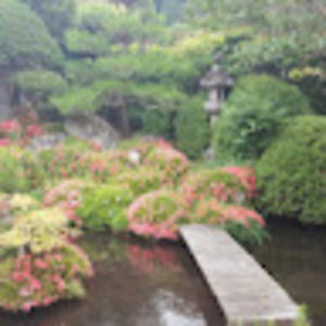 Meet your Posher, Luke